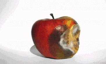游戏专题 第62页