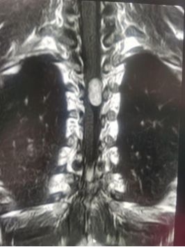 热点生活 第75页