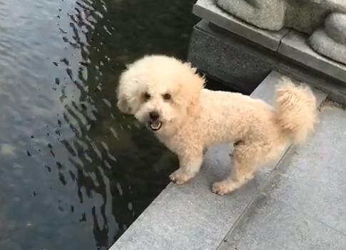 第1286页