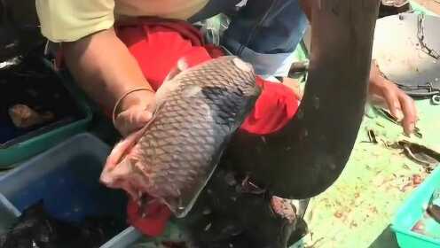 热点生活 第54页