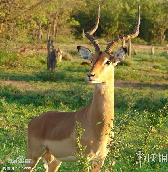 热点生活 第38页